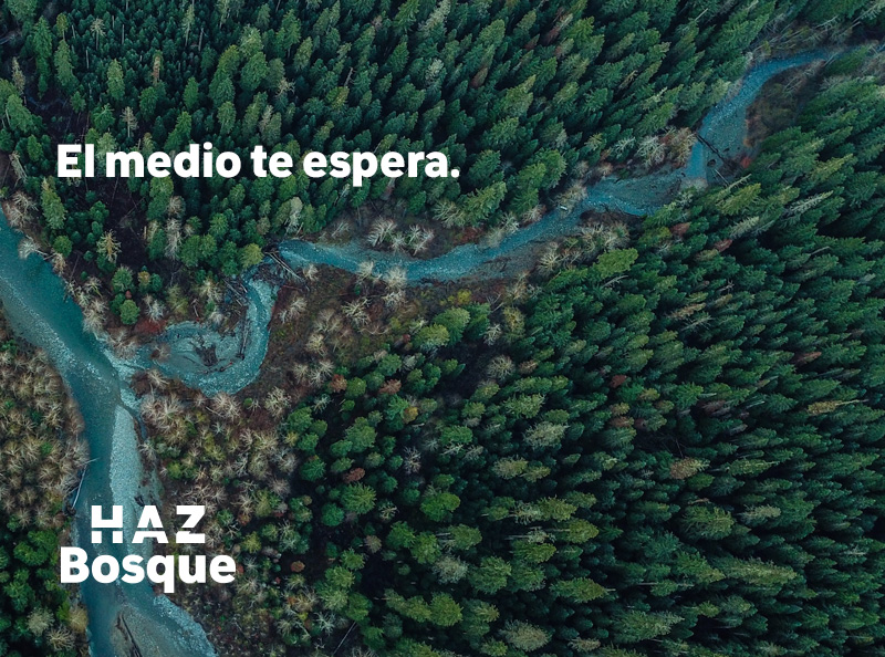 Foto aerea de un bosque y un rio para la iniciativa Haz Bosque de Principios Verdes