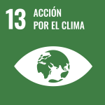 ODS — 13 Acción por el clima