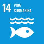ODS — 14 Vida submarina