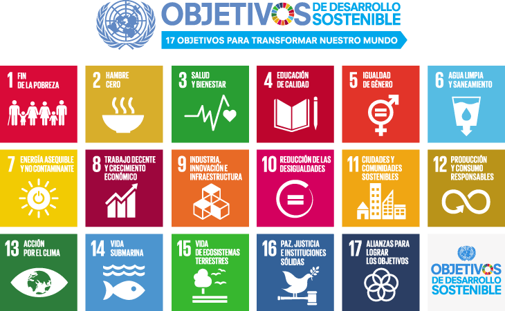 Agenda 2030 y objetivos de desarrollo sostenible
